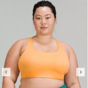 Lulu lemon Air Support Bra 40C